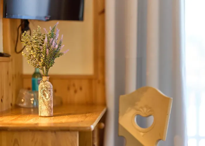 Hotel Airport-hotel Fortuna 3*