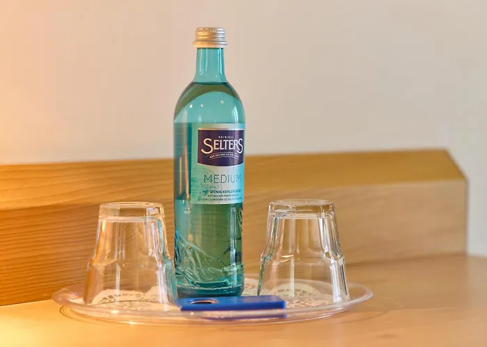 Airport-hotel Fortuna 3*